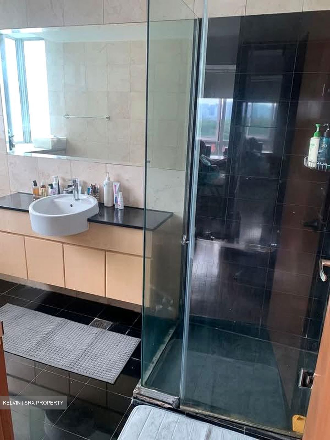 Scenic Heights (D12), Apartment #560352271